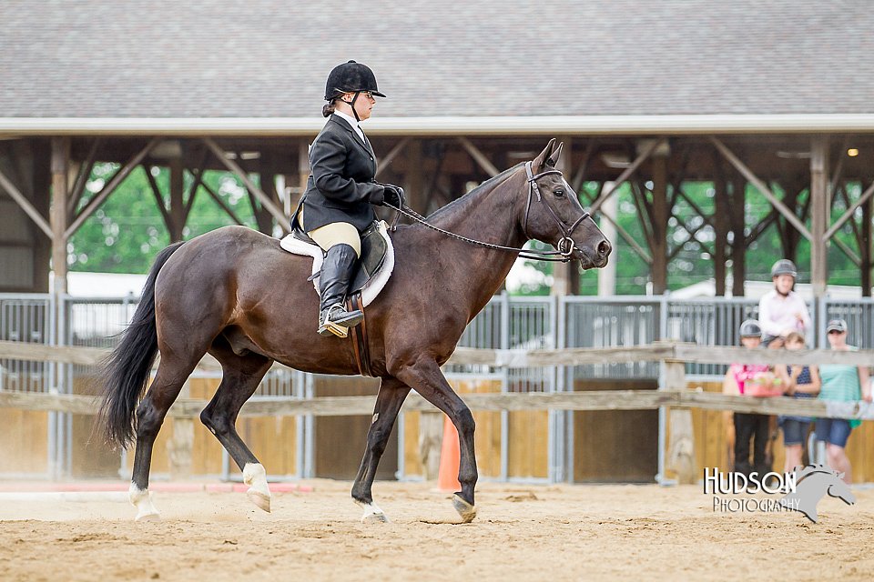 4H-2nd-070916-1861.jpg