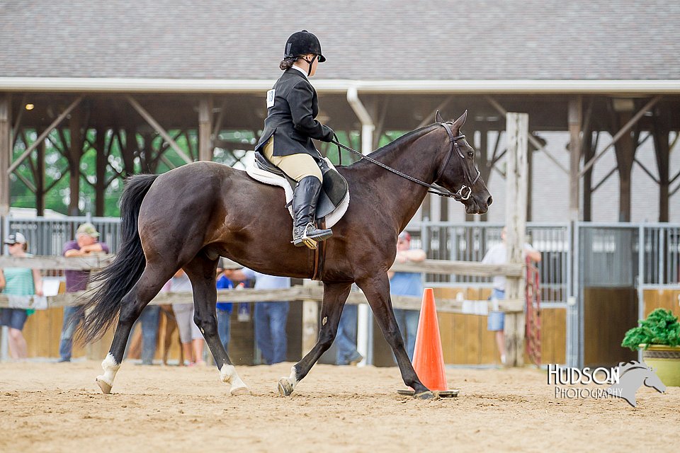 4H-2nd-070916-1862.jpg