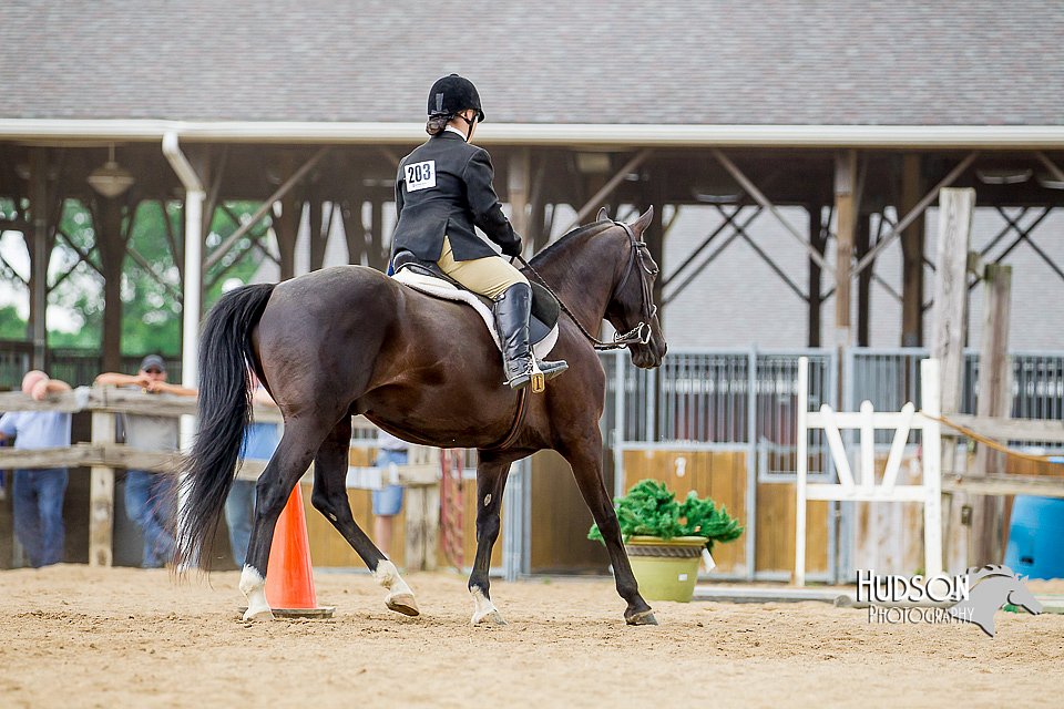 4H-2nd-070916-1863.jpg