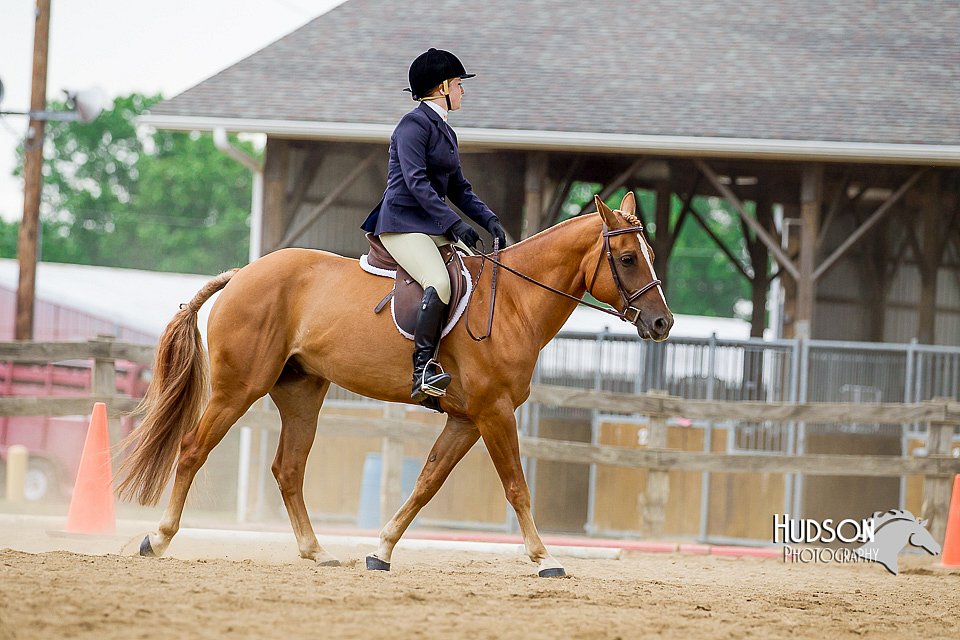 4H-2nd-070916-1872.jpg