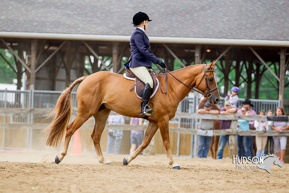 4H-2nd-070916-1873.jpg