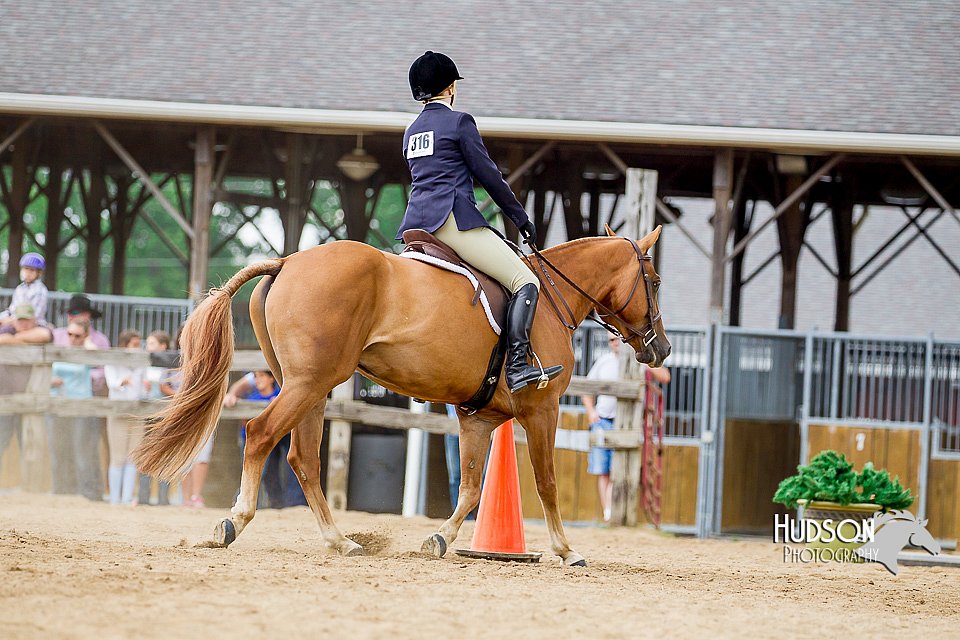 4H-2nd-070916-1875.jpg