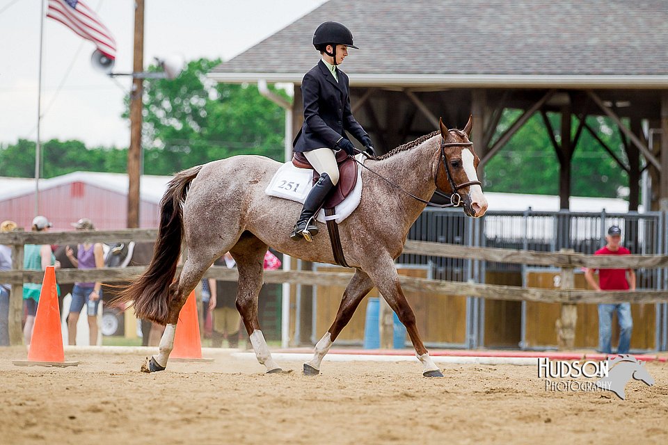 4H-2nd-070916-1885.jpg