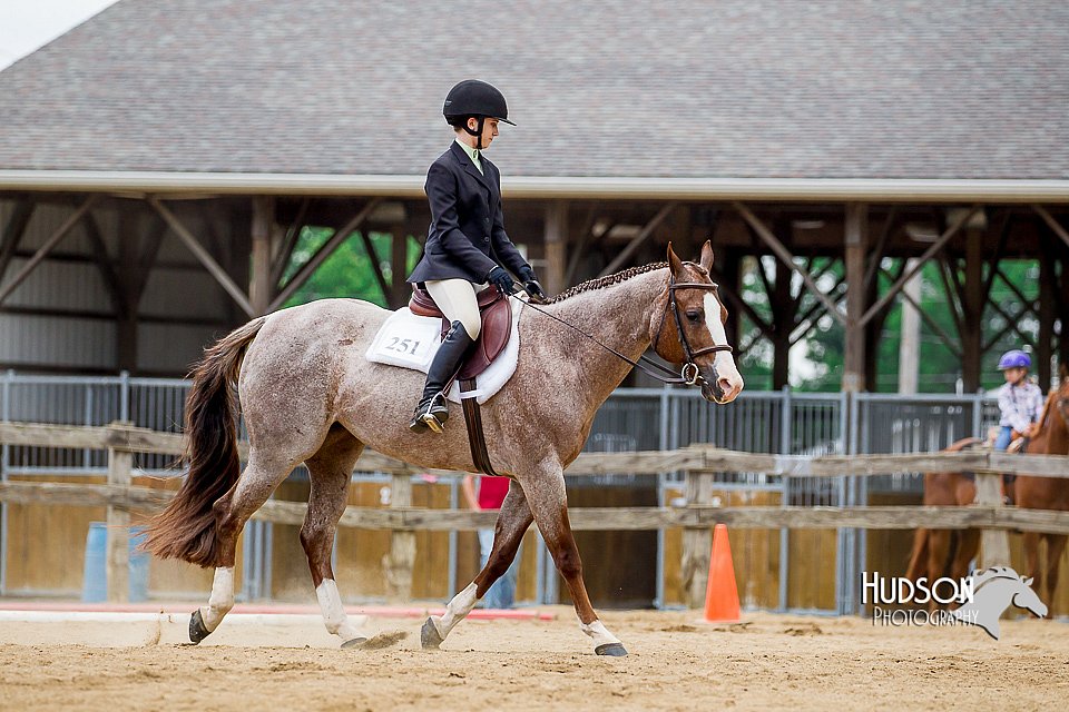 4H-2nd-070916-1886.jpg