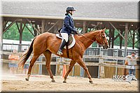 4H-2nd-070916-1837.jpg