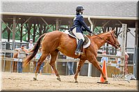 4H-2nd-070916-1838.jpg