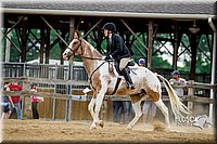 4H-2nd-070916-1840.jpg