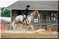 4H-2nd-070916-1847.jpg