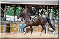 4H-2nd-070916-1854.jpg