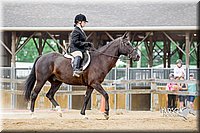 4H-2nd-070916-1861.jpg
