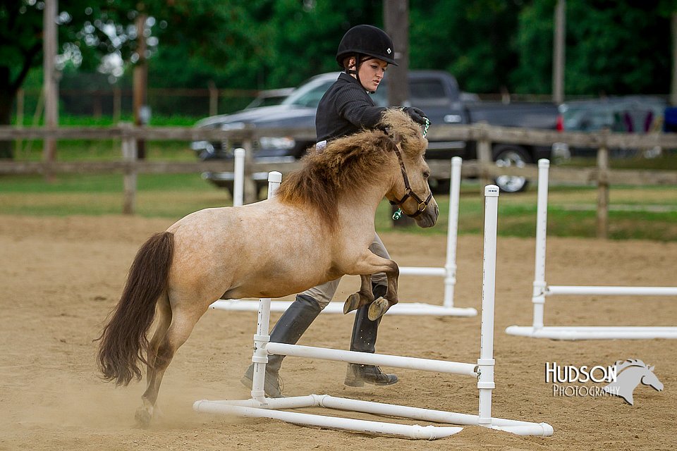 4H-2nd-070916-2062.jpg