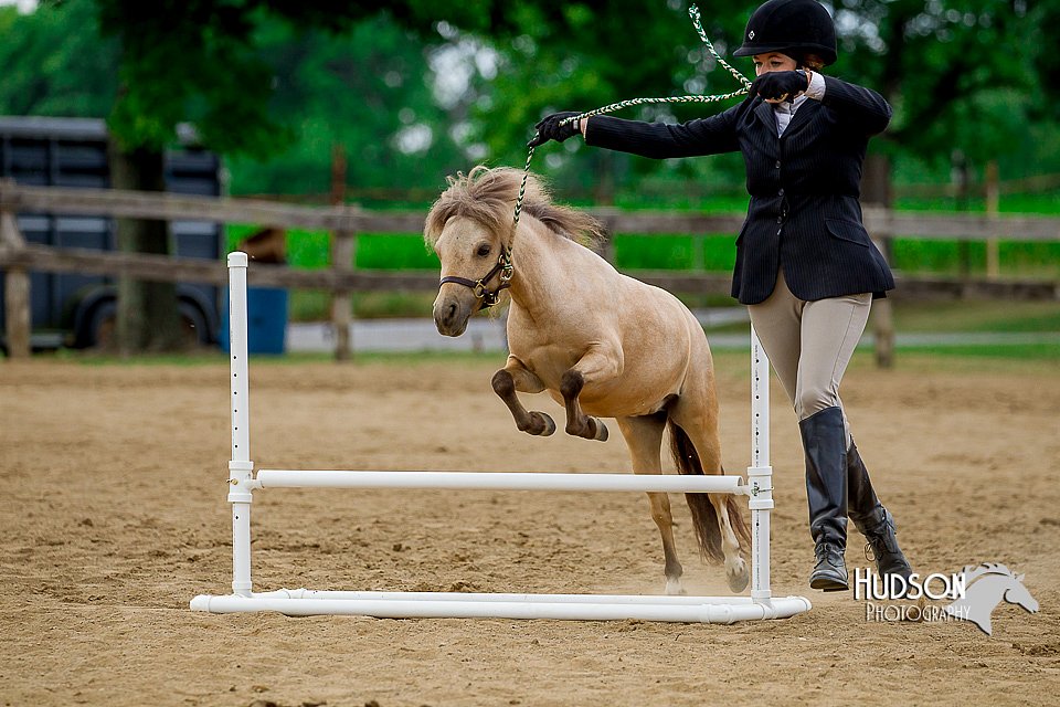 4H-2nd-070916-2093.jpg