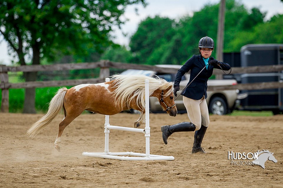 4H-2nd-070916-2097.jpg