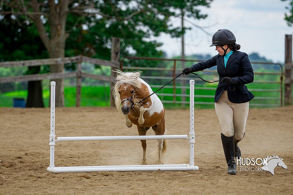 4H-2nd-070916-2099.jpg