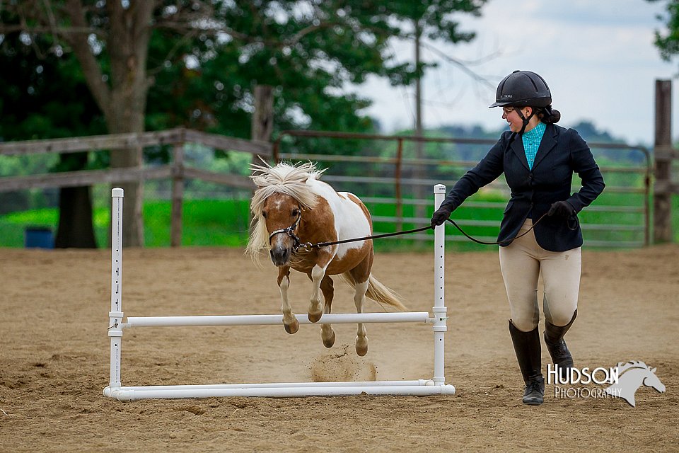 4H-2nd-070916-2100.jpg