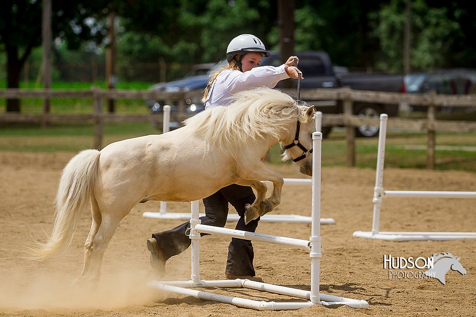 4H-2nd-070916-2114.jpg