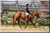 4H-2nd-070916-2334.jpg