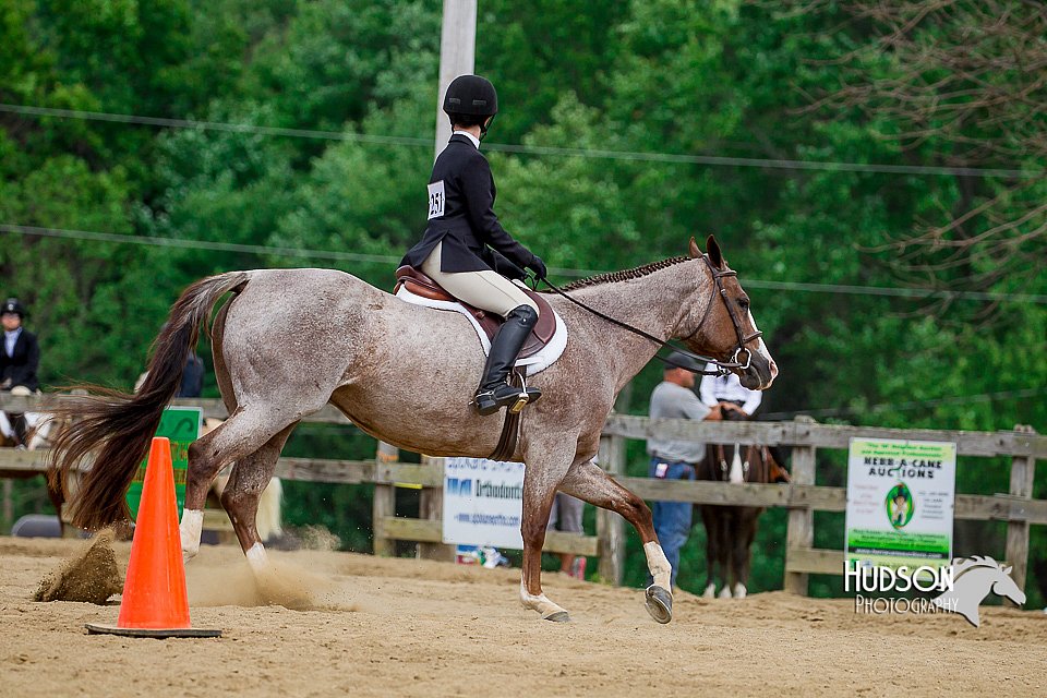 4H-2nd-070916-2565.jpg