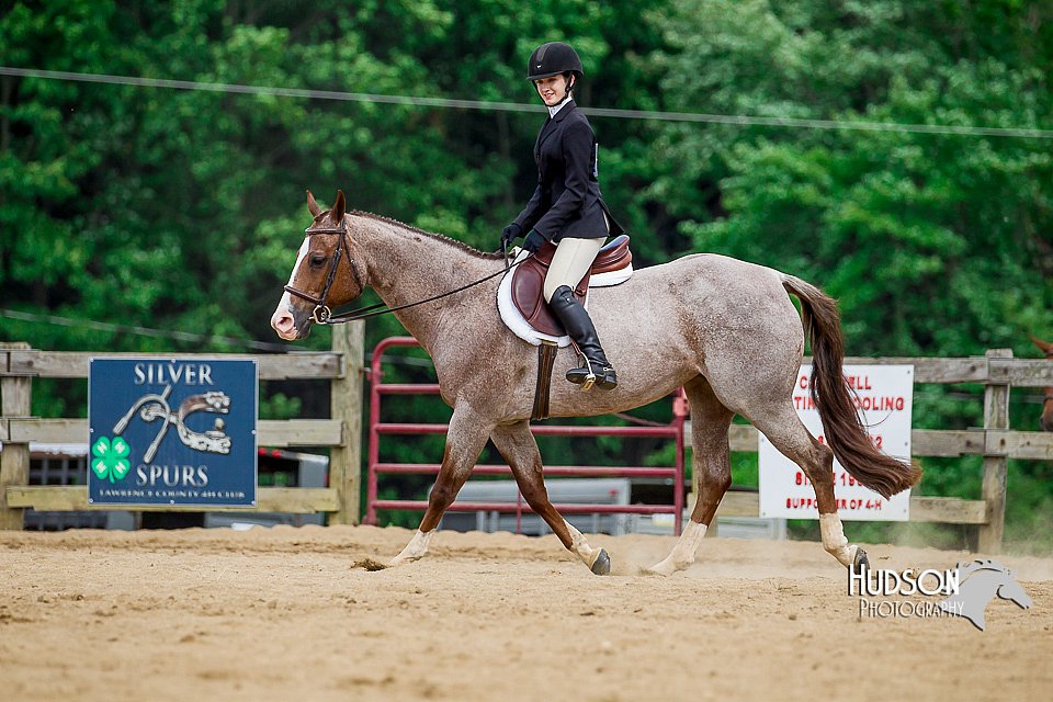 4H-2nd-070916-2567.jpg