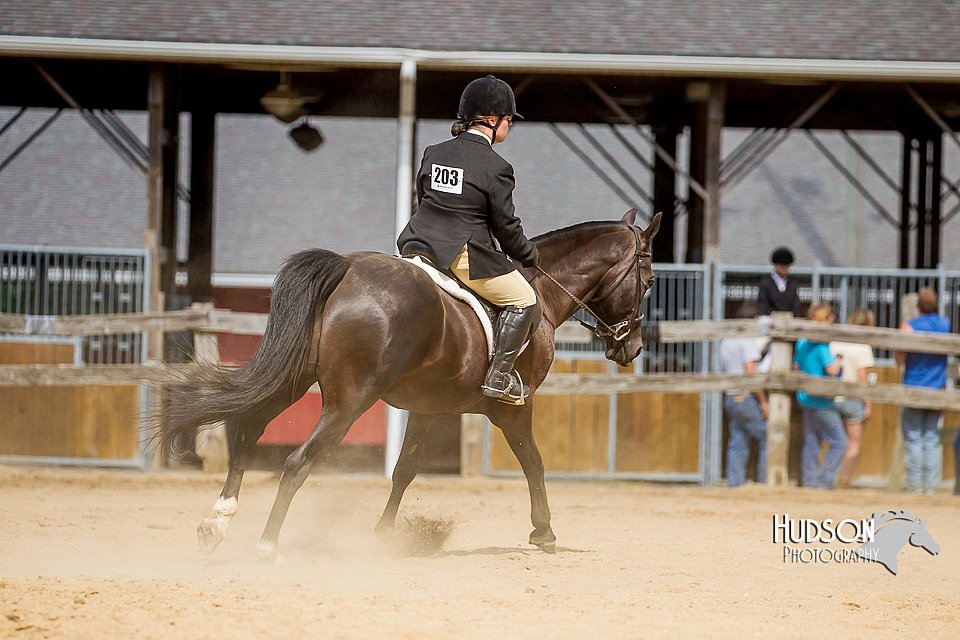4H-2nd-070916-2575.jpg