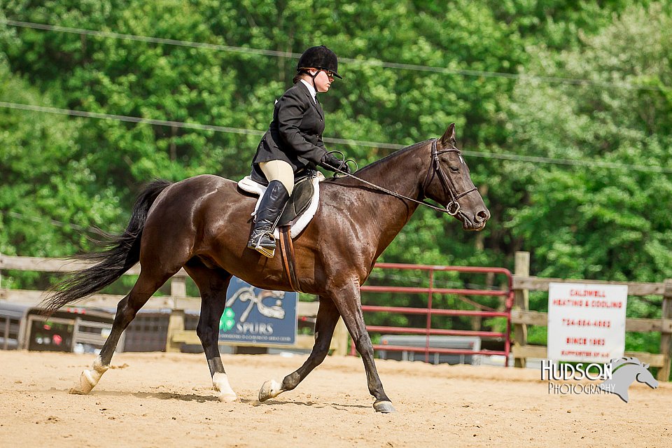 4H-2nd-070916-2577.jpg