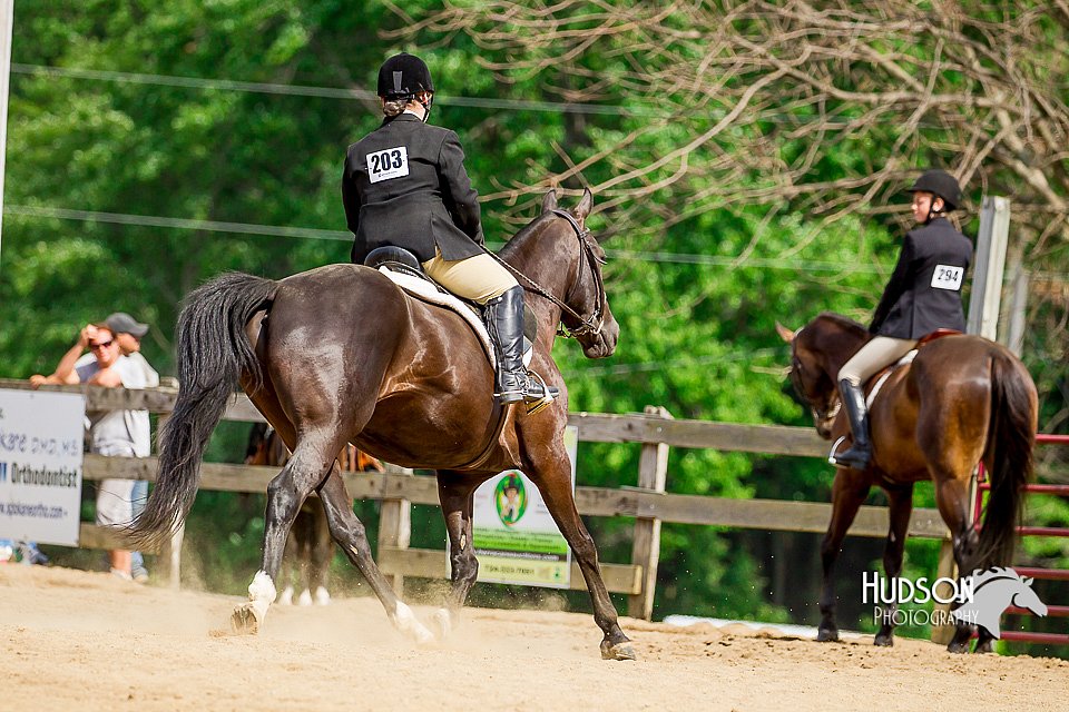 4H-2nd-070916-2578.jpg