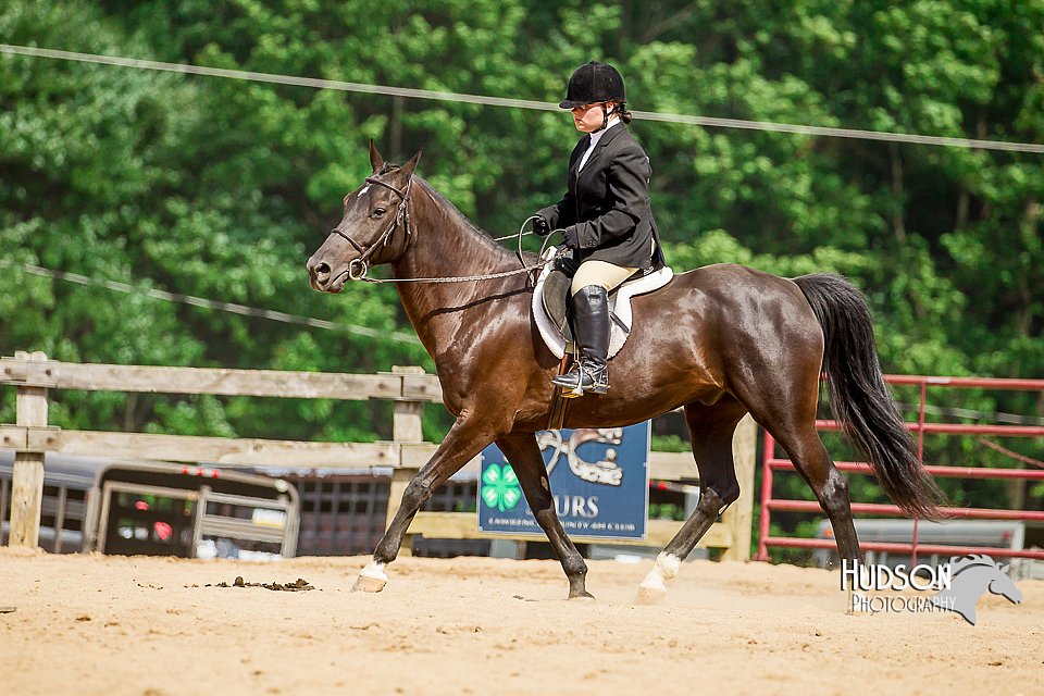4H-2nd-070916-2580.jpg