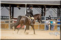 4H-2nd-070916-2575.jpg