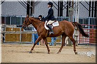 4H-2nd-070916-2624.jpg