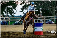 13. Clover Leaf Barrels Horse  Sr. Rider