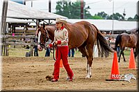 20. Western Grooming & Showmanship - Jr. Division