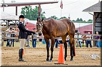 21. English Grooming & Showmanship - Sr. Division