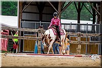 33. Open Trail Ponies