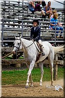 37. Hunter Hack Horses