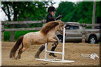 47. Mini Horse Jumping