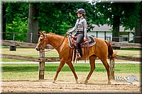 50. Western Pleasure Horses, Sr. Rider