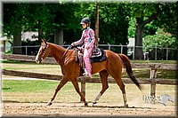 51. Western Pleasure Horses, Jr. Rider