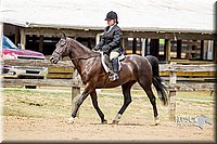 56. Classic Type HUS Horses - Sr. Rider