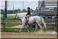 58. Classic Type HUS Horses - Jr. Rider