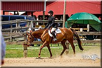 59. Breed Type HUS Horses - Jr. Rider