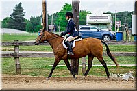 61. Hunter Under Saddle Ponies Large