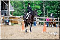 68. Beginner English Equitation