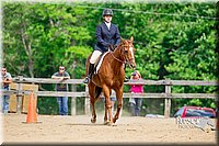 69. Hunter Seat Equit - Sr. Division