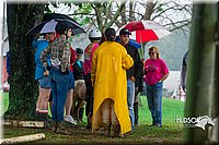 4H-3rd--073016-1715.jpg
