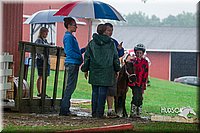 4H-3rd--073016-1716.jpg