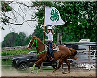 4H-3rd--073016-0015.jpg