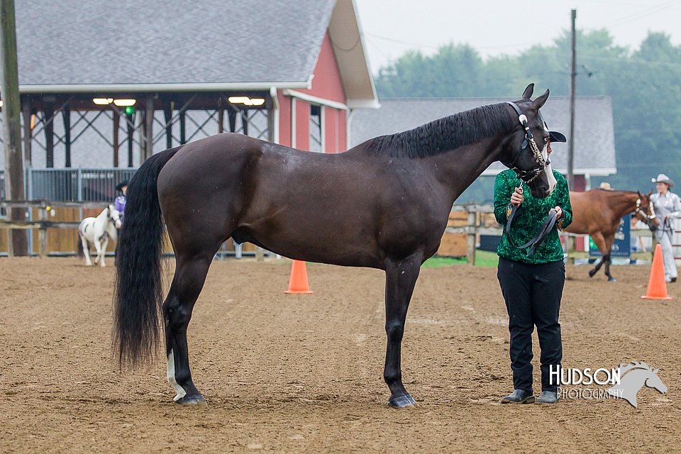 4H-3rd--073016-1182.jpg