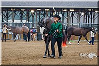 4H-3rd--073016-1179.jpg