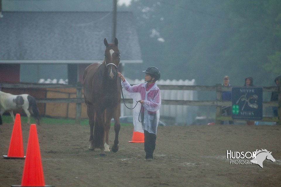 4H-3rd--073016-1234.jpg