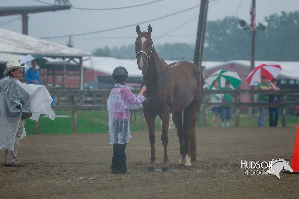 4H-3rd--073016-1240.jpg